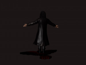 The Crow 3D Baskı Modeli