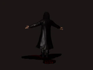 The Crow 3D Print Model