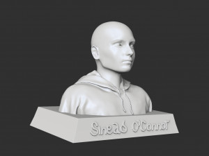 Sinead OConnor Model Cetak 3D