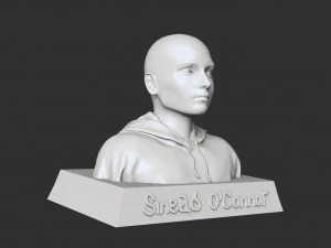 Sinead OConnor 3D Print Model