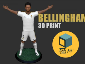 Jude Bellingham 3D Print Model