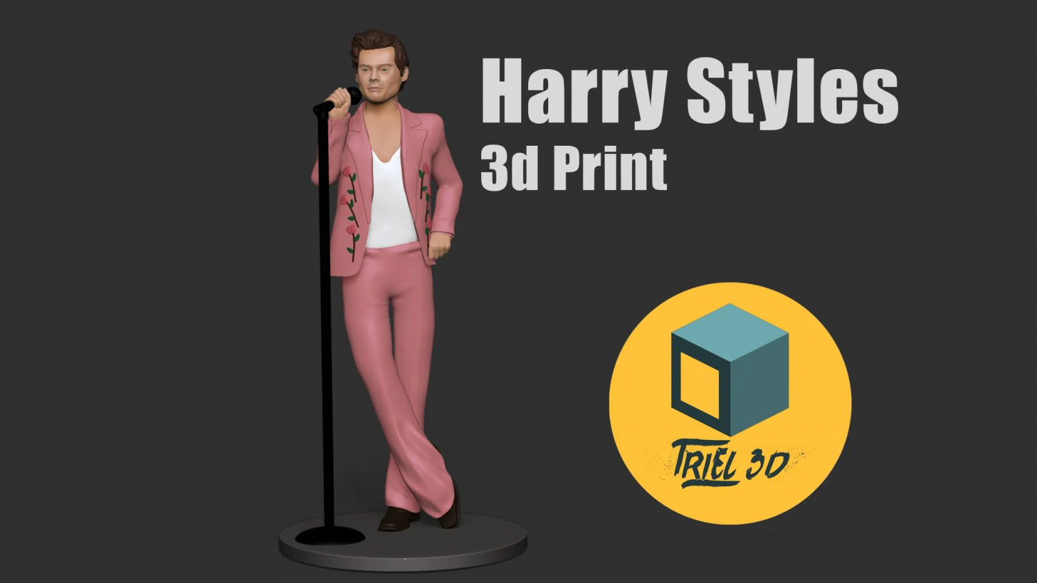 Harry Styles 3D Print Model .c4d .max .obj .3ds .fbx .stl .blend 