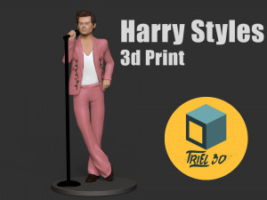 Harry Styles 3D Print Model