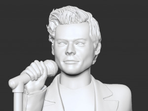 Harry Styles Modello di stampa 3D