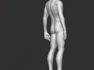 body man 3D Model