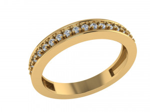ring 001 3D Print Model