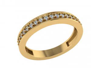 ring 001 3D Print Model
