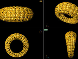 0141 custom pattern ring 1 Modello di stampa 3D