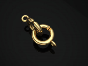 jewellery accessories necklace clasp lock 3Dプリントモデル