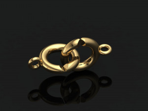 jewellery accessories necklace clasp lock 3Dプリントモデル