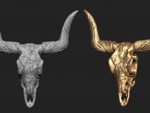 longhorn skull 3Dプリントモデル