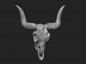 longhorn skull 3D Print Model