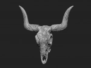 longhorn skull 3D Print Model
