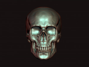 skull 3D Model