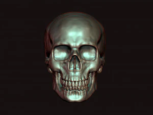 skull 3D Model