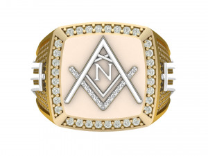 n - letter signet ring Modello di stampa 3D