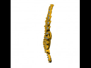 Peacock bracelet charm 3D Print Model