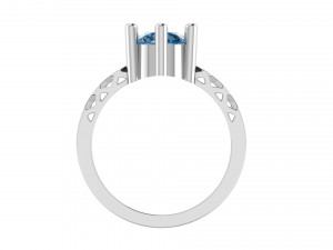 modern style princess ring 3D 打印模型