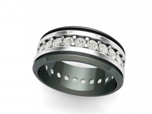 Titanium silver diamond band 3Dプリントモデル