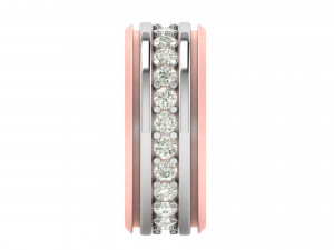 Titanium silver diamond band 3Dプリントモデル