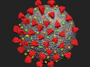 Corona virus pendant 3D Print Model