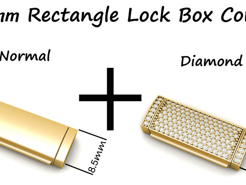 8 and half mm Rectangular Lock Box Combo of Plain and Diamond 3Dプリントモデル