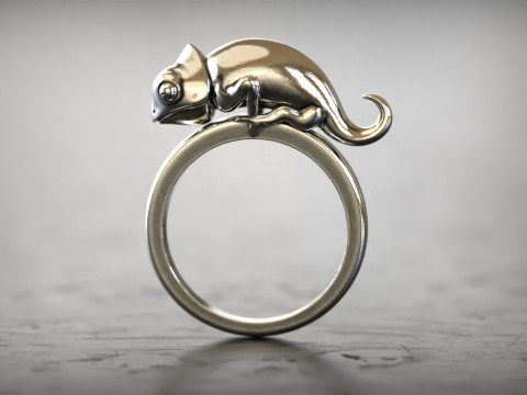 Sterling Silver Signet Chameleon Ring in 5 size Modèles 3D en vedette