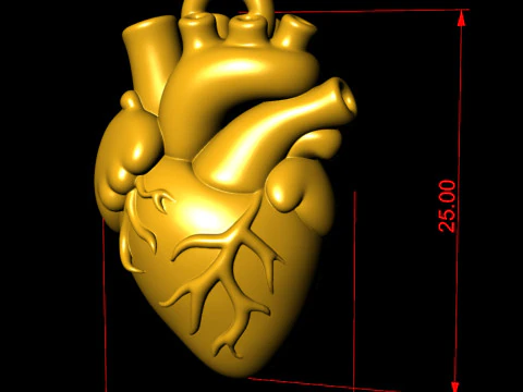 Human Heart Pendant 3D Print Model