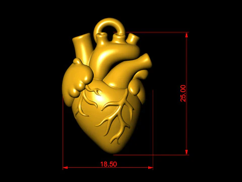 Human Heart Pendant 3D Print Model