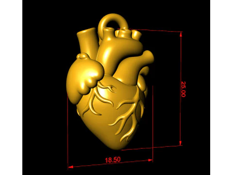 Human Heart Pendant 3D Print Model