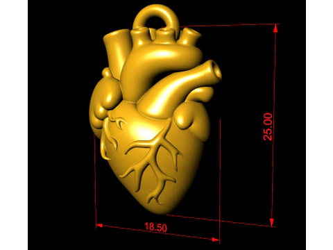 Human Heart Pendant 3D Print Model