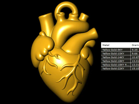 Human Heart Pendant 3D Print Model