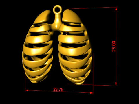 Anatomical Lungs Pendant 3D Print Model