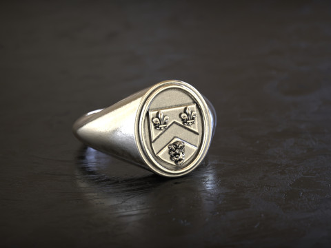 Gough Familienwappen Ring mit irischem Wappen 3D Druckmodell