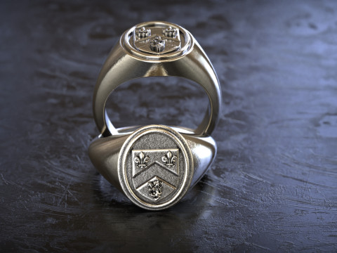 Gough Familienwappen Ring mit irischem Wappen 3D Druckmodell