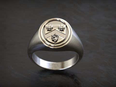 Gough Familienwappen Ring mit irischem Wappen 3D Druckmodell