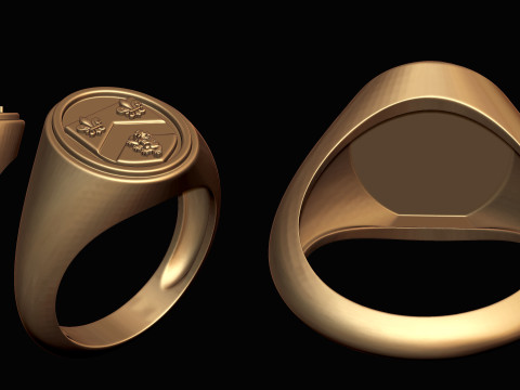 Gough Familienwappen Ring mit irischem Wappen 3D Druckmodell