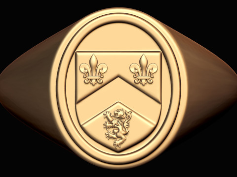 Gough Familienwappen Ring mit irischem Wappen 3D Druckmodell