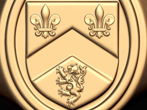 Gough Familienwappen Ring mit irischem Wappen 3D Druckmodell