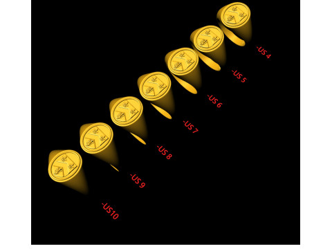 Gough Familienwappen Ring mit irischem Wappen 3D Druckmodell