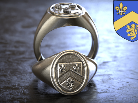 Gough Familienwappen Ring mit irischem Wappen 3D Druckmodell