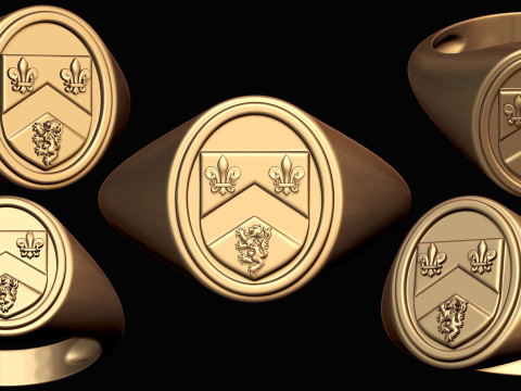 Gough Familienwappen Ring mit irischem Wappen 3D Druckmodell