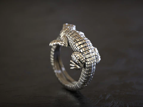 Timsah Timsahı Sarma Y&uuml;z&uuml;k 3D Baskı Modeli