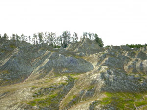 landscape 91 3D Model