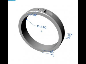 foodprint ring 3D Print Model