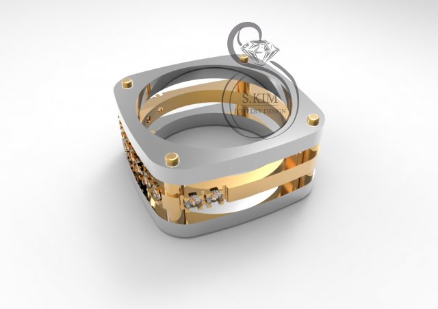 square rings full weight and lightweight variant Modelo de Impressão 3D .c4d .max .obj .3ds .fbx .stl .blend 