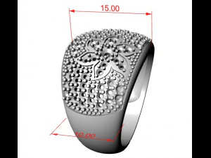 ring scattering of gems 3D Print Model