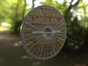 scandinavian shield 3D Model