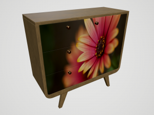cabinet with print 3D Model