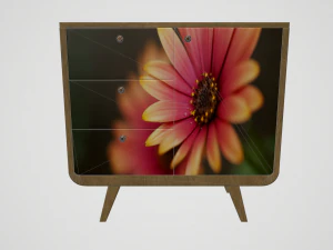 cabinet with print 3D Model